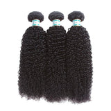 Lakihair 8A Malaysian Human Hair Kinky Curly 3 Bundles With 4x4 Lace Closure